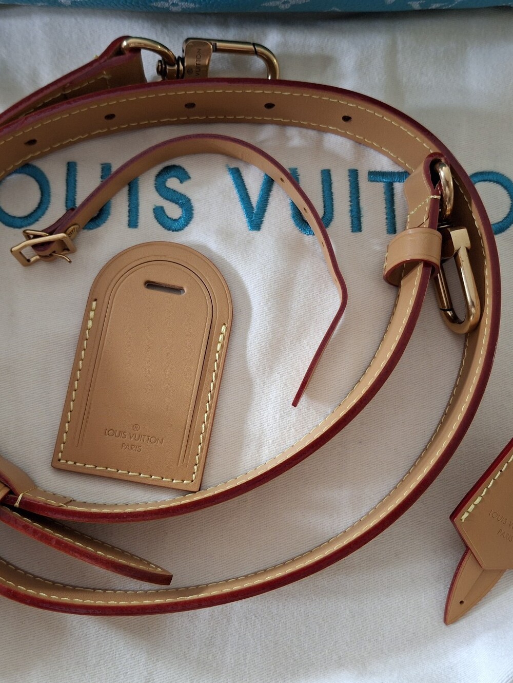 Turquoise Monogram Speedy 25 Luxury Handbag - Picture 11 of 15